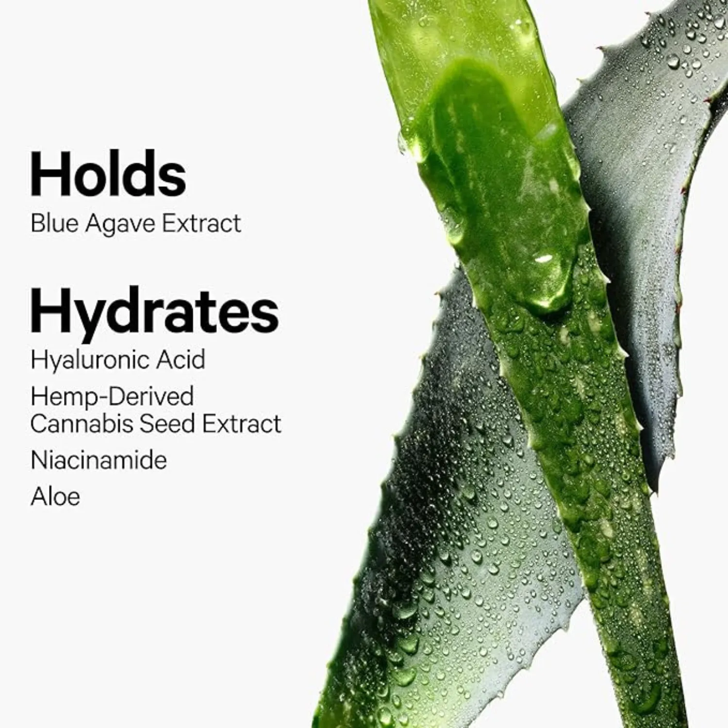 Milk Makeup Hydro Grip Set   Refresh Spray